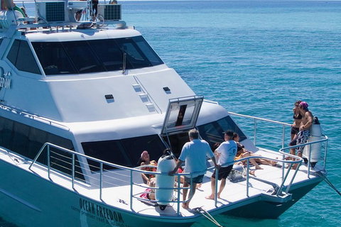 Ocean Freedom Great Barrier Reef Personal Luxury Snorkel & Dive Cruise, Cairns - Winery Find 1