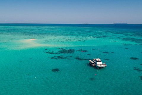 Ocean Freedom Great Barrier Reef Personal Luxury Snorkel & Dive Cruise, Cairns - Winery Find 2