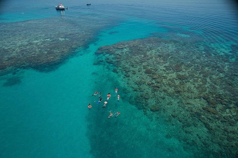 Ocean Freedom Great Barrier Reef Personal Luxury Snorkel & Dive Cruise, Cairns - Winery Find 3