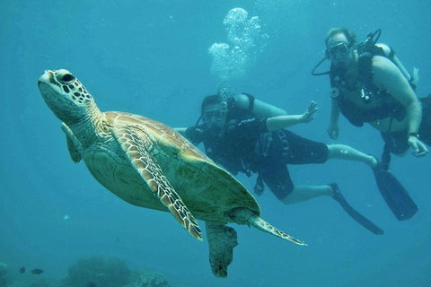 Ocean Freedom Great Barrier Reef Personal Luxury Snorkel & Dive Cruise, Cairns - Winery Find 4