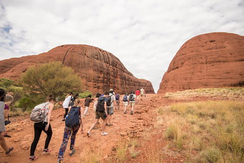 6 Day Red Centre Explorer With Accommodation - Winery Find 3