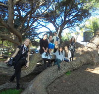 1/2 day Swan Valley Wine Cheese  Chocolate Tour Inc Afternoon Cruise to Perth - Winery Find