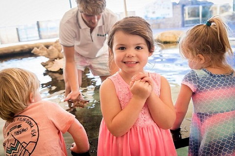 Lunch And General Admission Entry At AQWA - Winery Find 4