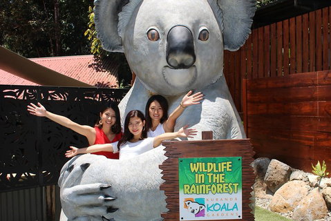 Kuranda Koala Gardens And Birdworld Admission Tickets - Winery Find 3