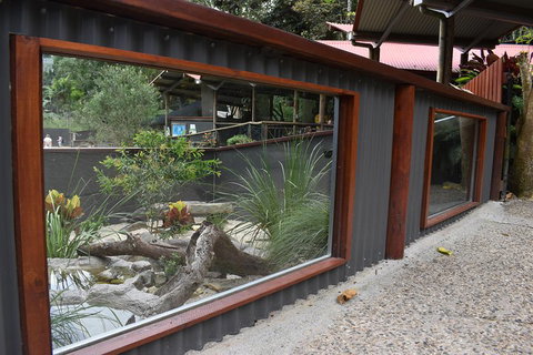 Kuranda Koala Gardens And Birdworld Admission Tickets - Winery Find 4