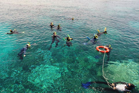 Seastar Luxury Outer Great Barrier Reef Island And Reef Tour From Cairns - Winery Find 2