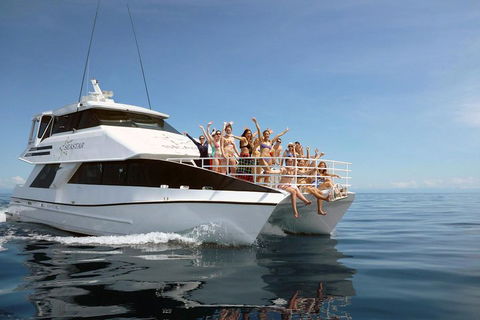 Seastar Luxury Outer Great Barrier Reef Island And Reef Tour From Cairns - Winery Find 4