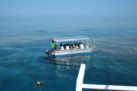 Seastar Luxury Outer Great Barrier Reef Island And Reef Tour From Cairns - Winery Find 5