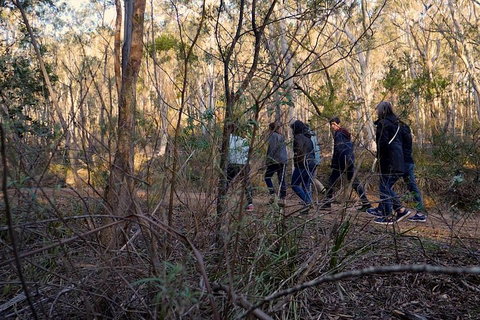 Wild Australian Wildlife 4WD Tour From Sydney - Winery Find 0