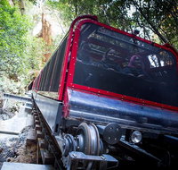 Blue Mountains Hop-on Hop-off Tour with Optional Scenic World Rides - Winery Find