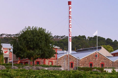 Ultimate Penfolds Magill Estate Experience - Winery Find 3
