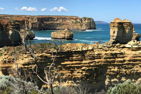 Great Ocean Road Reverse Itinerary Tour - Winery Find 1