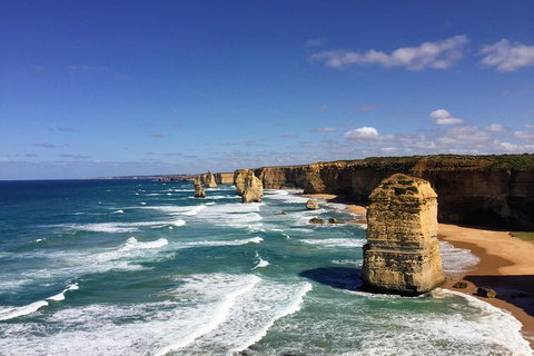 Great Ocean Road Reverse Itinerary Tour - Winery Find 4