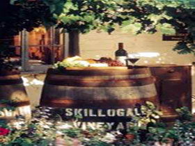 Skillogalee Wines And Restaurant - Winery Find 2