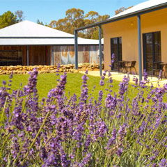 The Shed Restaurant @ The Hill End Lodge - Winery Find 0