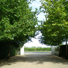 Restaurant Merlot At Lindenwarrah - Winery Find 0