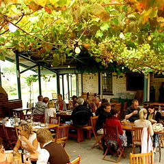 Fleurieu Peninsula SA Winery Find