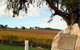 Howard Vineyard And Pardalote Bistro - thumb 2