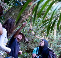 Southern Cross Day Tours Gold Coast - Winery Find