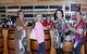 Coast To Bush And Classy Wine Tours - thumb 0