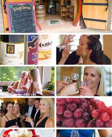Coast To Bush And Classy Wine Tours - Winery Find 3