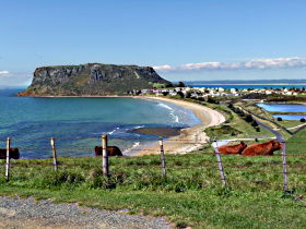 Downlands TAS Winery Find