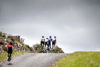 True Tasmania Cycling Tours