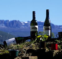 Pepper Bush Adventures - Winery Find