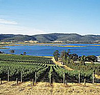 Tasmanian Wine Centre Tours - Winery Find