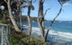 Eye See Personalised Tours - thumb 1