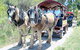Swan Valley Wagon Trails - thumb 0