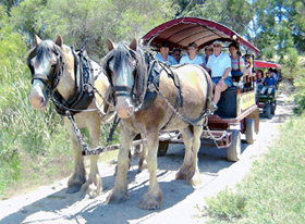 Swan Valley Wagon Trails - Winery Find 0