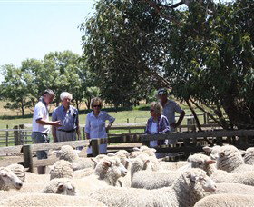 Gippsland Food Adventures - Winery Find 1