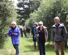 Gippsland Food Adventures - Winery Find 0