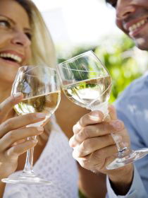 Neerdie QLD Winery Find