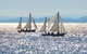 South Coast Scenic Tours - thumb 4