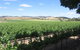 Taste The Barossa - thumb 2