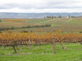 R & M Transit Tours - Winery Find 1