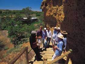 Captain Cook Cruises - PS Murray Princess - Winery Find 2