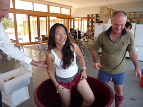Producers Of McLaren Vale - Winery Find 1