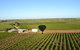 Mildura Ballooning - thumb 0