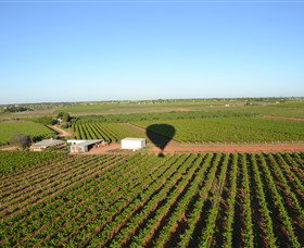 Mildura Ballooning - Winery Find 0