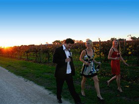 Coonawarra Discovery Tours - Winery Find 1