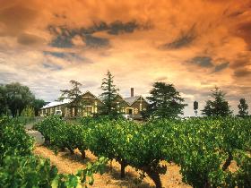 Coonawarra Discovery Tours - Winery Find 2