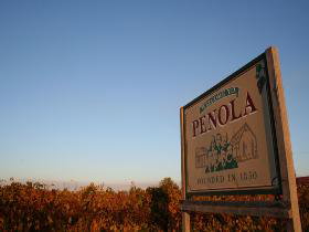 Coonawarra Discovery Tours - Winery Find 3