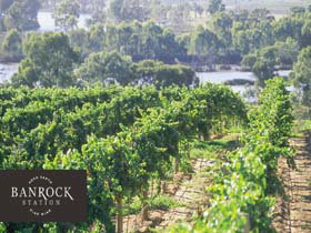 Banrock Station Wine And Wetland Centre - Winery Find 0