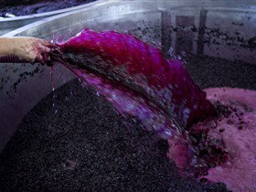 Chapel Hill Winery - Winery Find 2