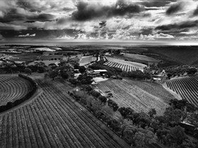 Chapel Hill Winery - Winery Find 3