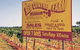 Red Centre Farm - thumb 0
