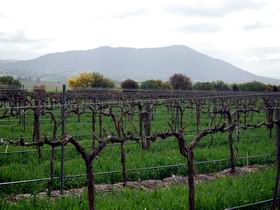 Remarkable View Wines - Winery Find 1